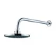 Regadera ABS Acquabela Corniglia Redonda Cromada 8" Brazo 40cm 1 Función